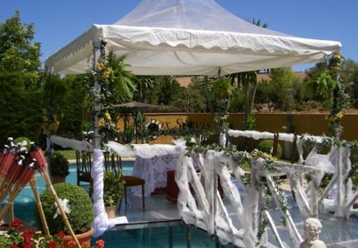 Carpas Transparentes — foto 13