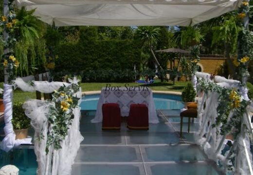 Carpas Transparentes — foto 14