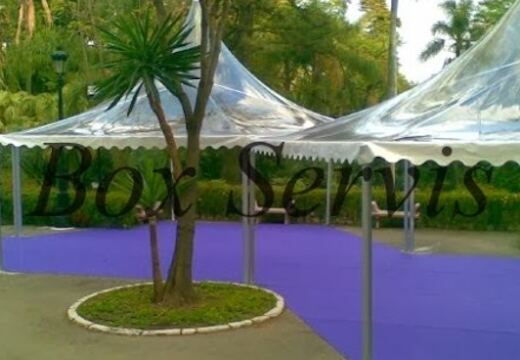 Carpas Transparentes — foto 37